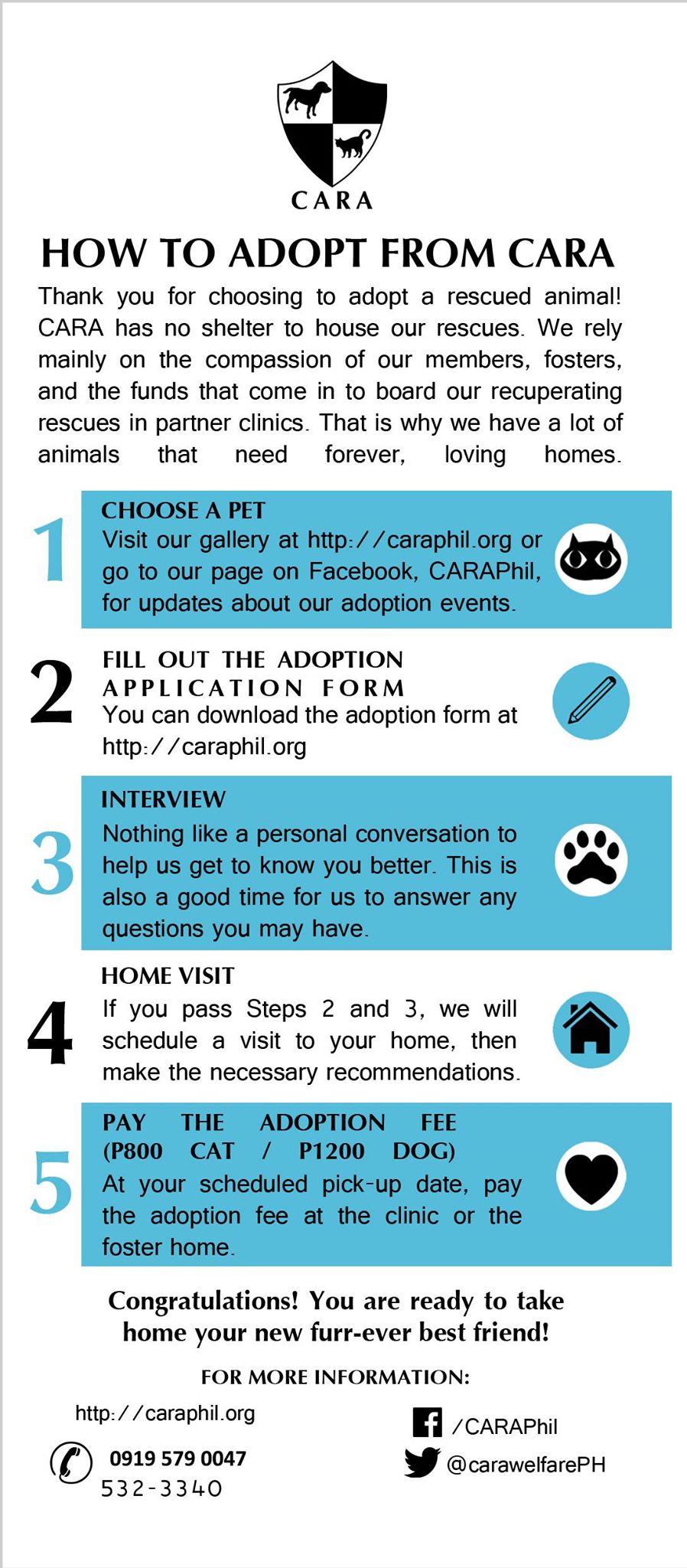 HOW TO ADOPT PETS FROM CARA WELFARE PHILIPPINES