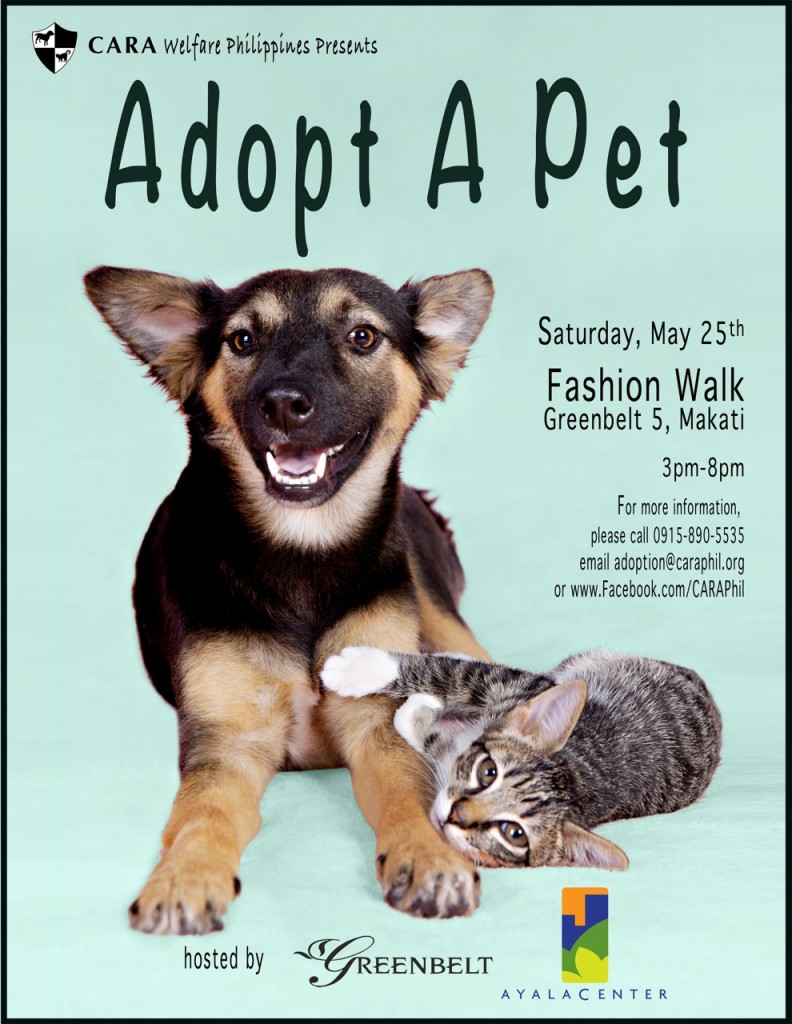 CARA Welfare Philippines » Blog Archive » Adopt A Pet At Greenbelt 5!