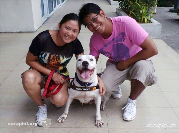 CARA Welfare Philippines – Animal Welfare – dog adoption success story – Snowflake