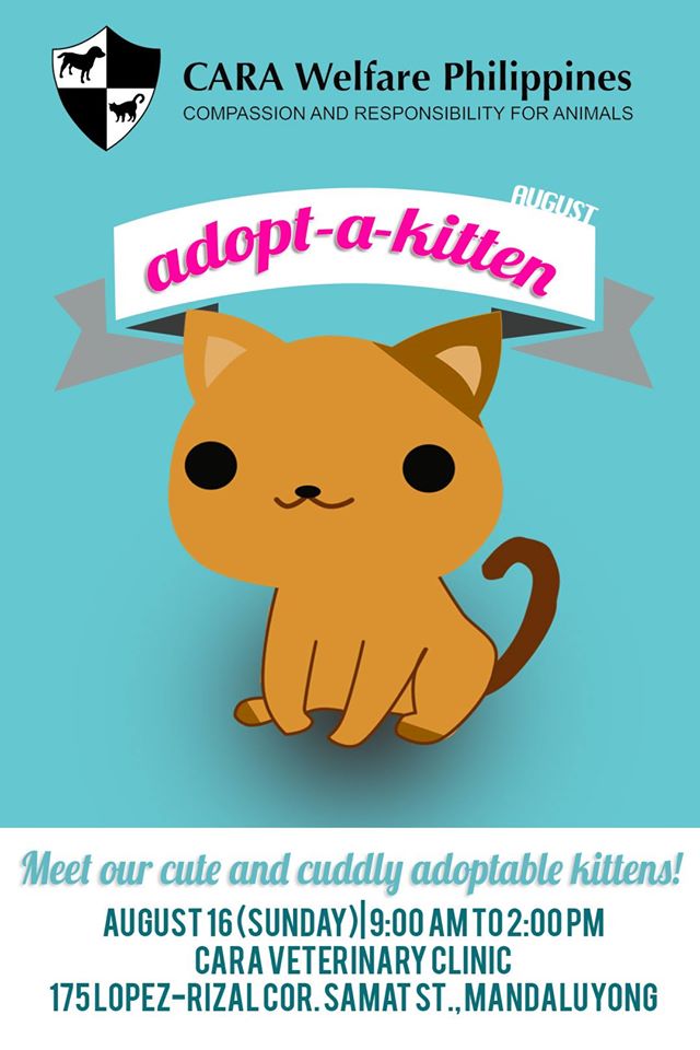 CARA Adopt a Kitten Pet Adoption Event in Manila Philippines