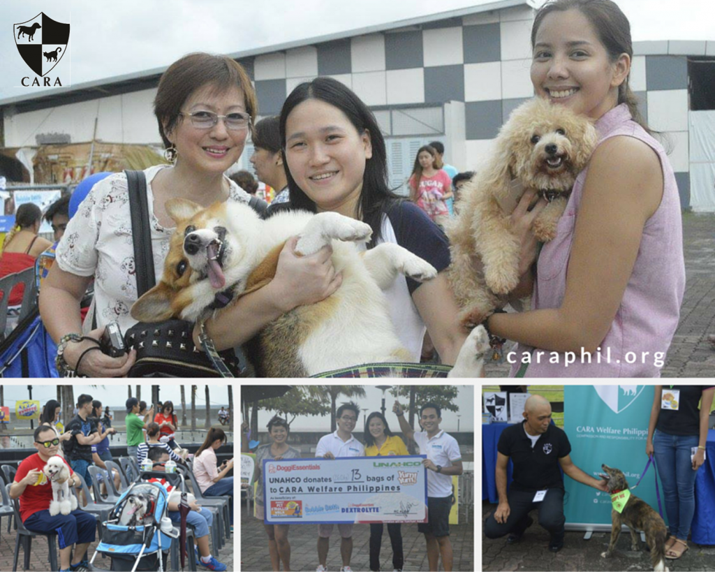 CARA Animal Welfare Philippines