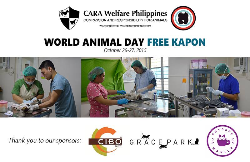 CARA Animal Welfare Philippines