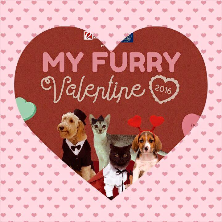 My Furry Valentine 2016 - animal welfare event in the Philippines