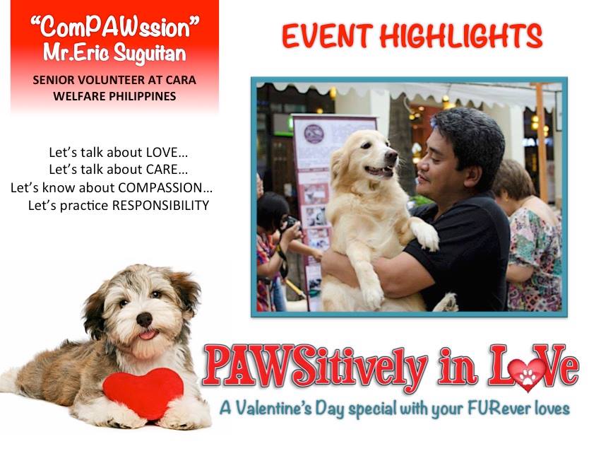 PAWsitively in Love February 14 2016 - animal welfare event