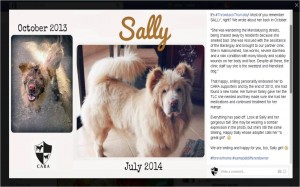 CARA Welfare Philippines – Animal Welfare – Pet stories – sally1