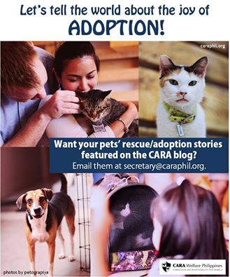 CARA Adoption story