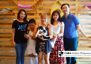 CARA - animal welfare in the Philippines - Domino - Adoption Story