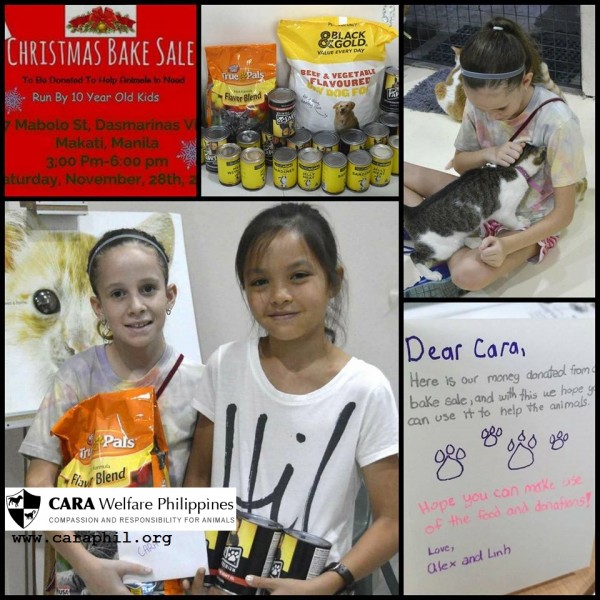 CARA - animal welfare in the Philippines - donations and fundraising