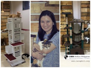 CARA - animal welfare in the Philippines - donations by Tina