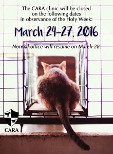 Cat_Holy Week Announcement