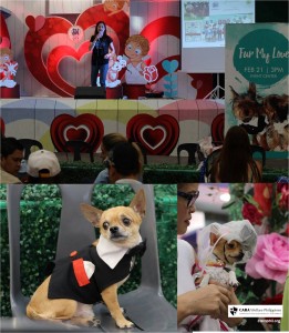 CARA Welfare Philippines – Animal Welfare – Events – furmylove2