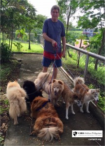 CARA Welfare Philippines – Animal Welfare – Pet stories – sally4