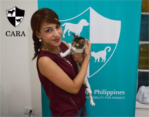 CARA animal welfare Philippines - peggy - rescued cat - pet adoption