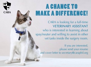 CARA - job opportunity at a vet clinic - animal welfare philippines - veterinary assistant