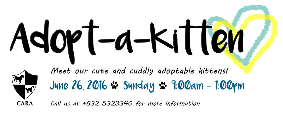 CARA - Animal Welfare in the Philippines - Adopt-A-Kitten