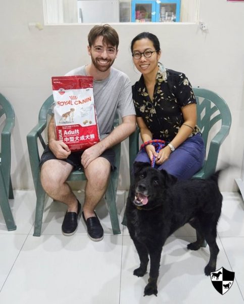 CARA - Animal Welfare in the Philippines - Onyx - Adoption1