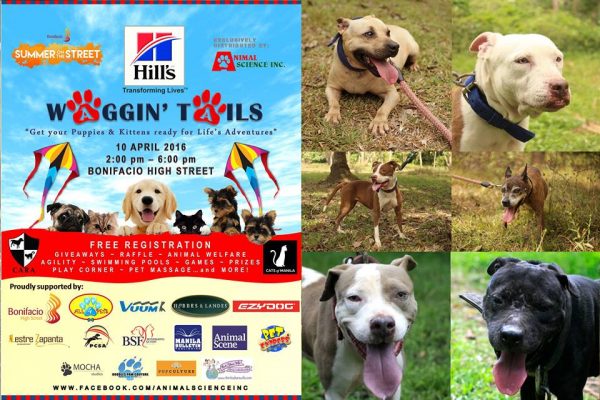 CARA - animal welfare in the Philippines - Waggin' Tails 2016