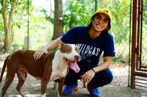 Laguna Pit Bulls, LPB, Adopt don't shop