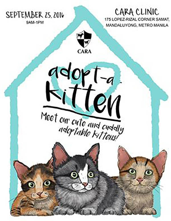 cara-animal-welfare-in-the-philippines-adopt-a-kitten-event