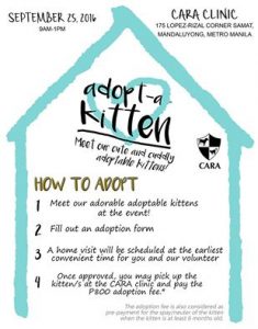 cara-animal-welfare-in-the-philippines-adopt-a-kitten-sept-25