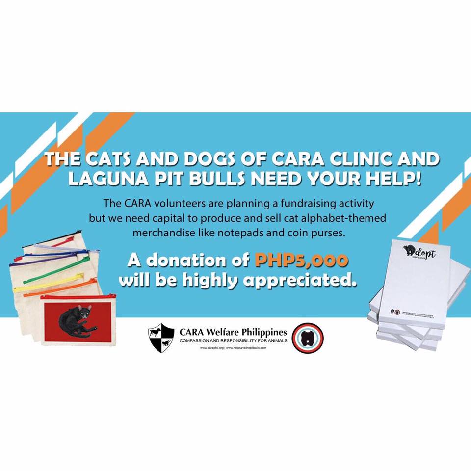 November 2017 - CARA Fundraising Donations Wagtales 1 - CARA Welfare Philippines - AdoptDontShop