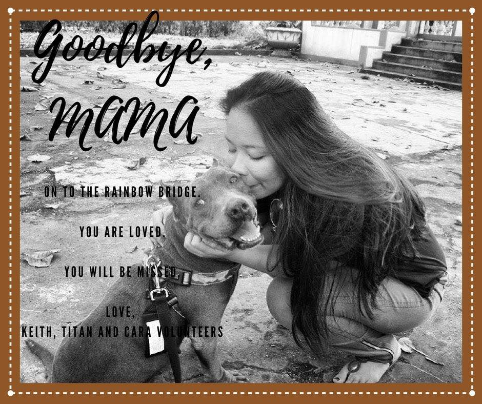 November 2017 - LPB - Mama - CARA Welfare Philippines - AdoptDontShop