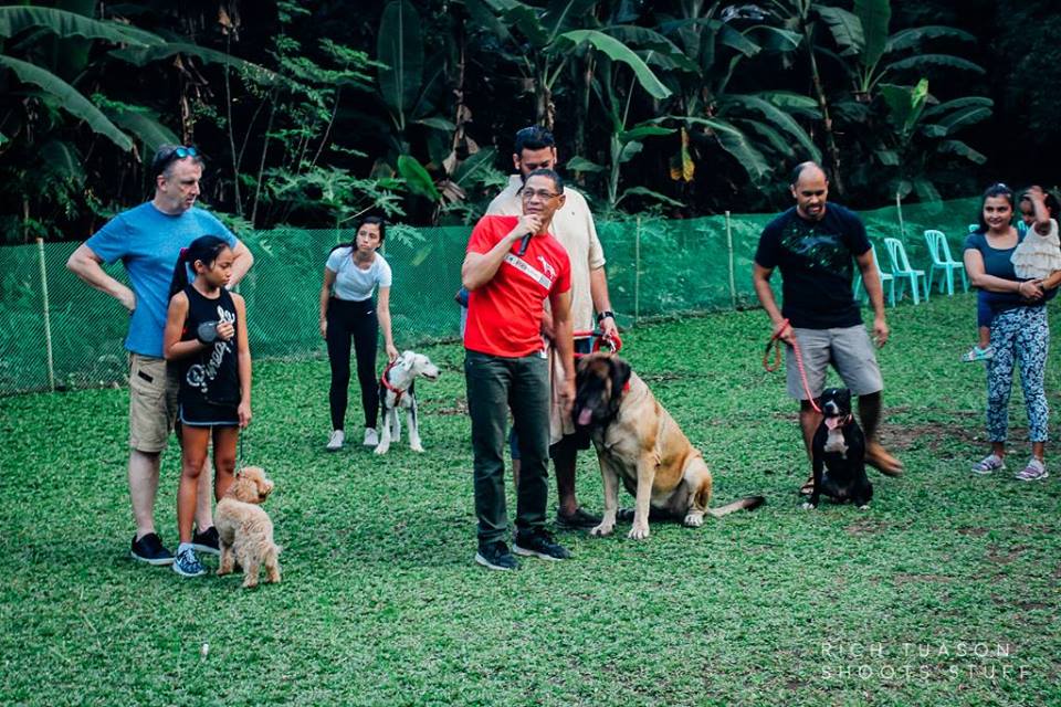 Oct 2017 Ayala Alabang Village Dog Park CARA Welfare Philippines Events Dog