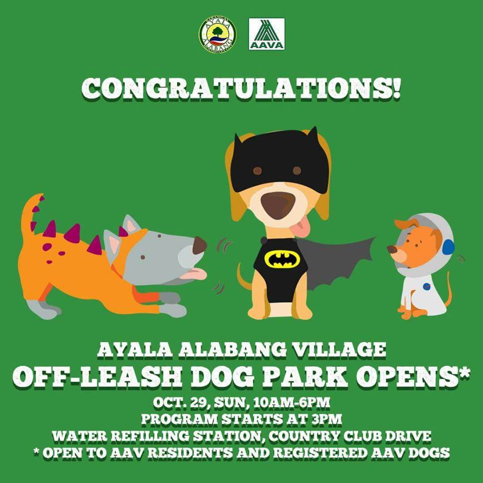 October 2017 - CARA event-Ayala Dog Park-Host- CARA Welfare Philippines - AdoptDontShop