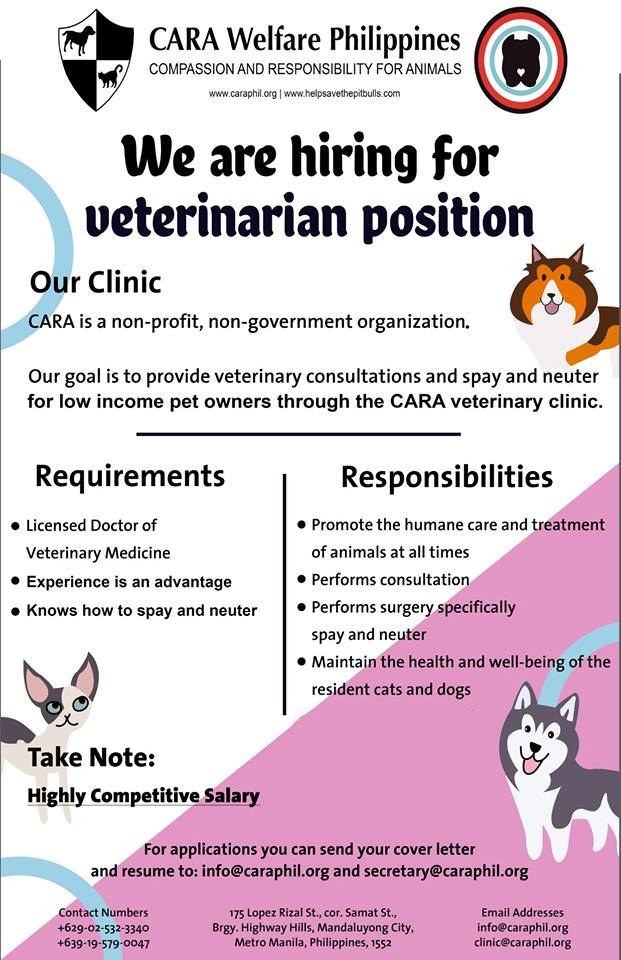 Cara Welfare Philippines Blog Archive Are You The Purrfect Vet Call Us Cara Welfare Philippines