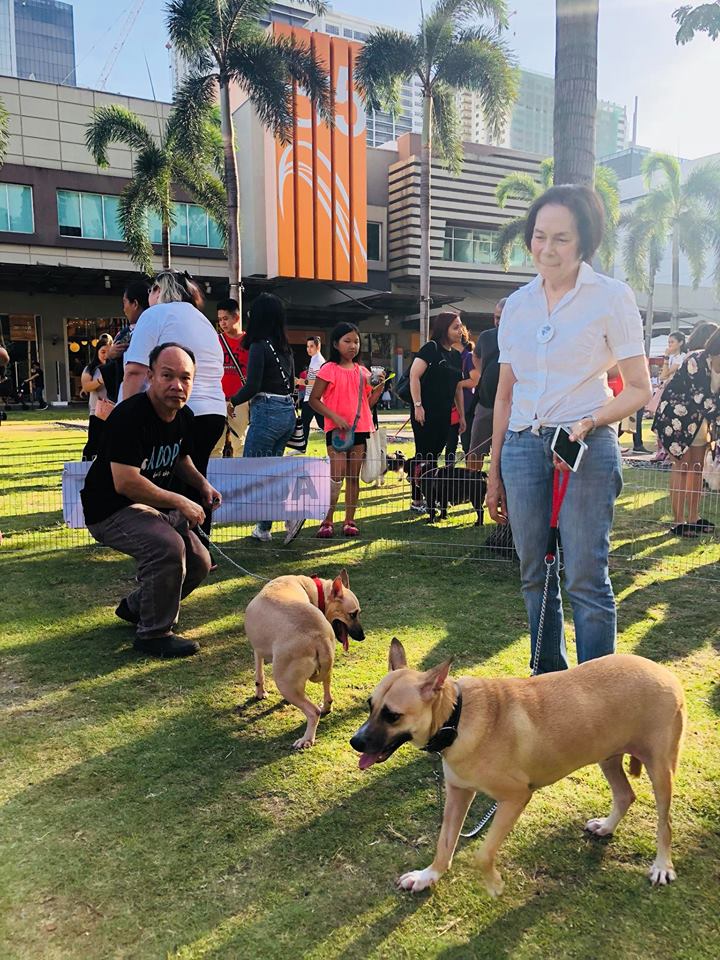 Dolly and Polly at Waggin Tales 2018 by Trina Kiedis