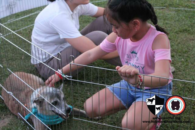 Here's a kid whose heart CARA rescue Koko stole