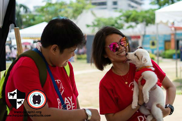 Pet Summit 2018 attendees enjoying the day