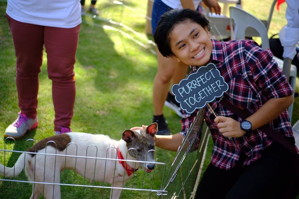 CARA Welfare Philippines - animal welfare - volunteer group