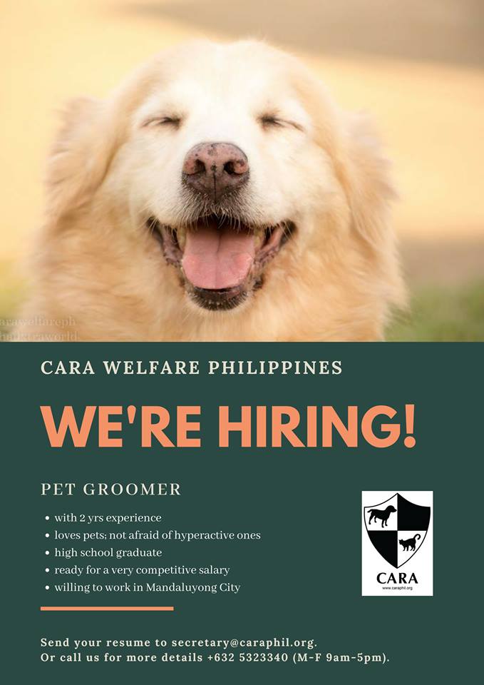 wanted pet groomer for CARA - animal welfare Philippines