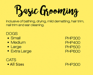 dog grooming services prices