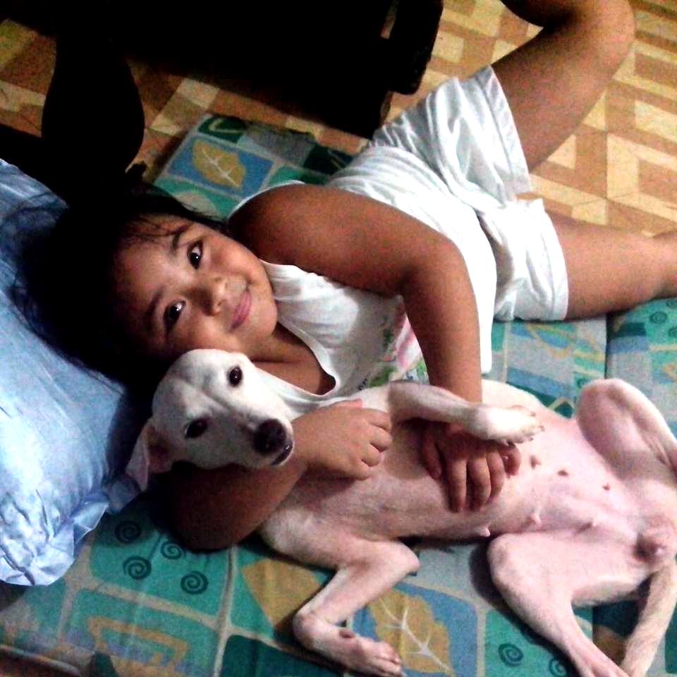 CARA Welfare Philippines - Animal Rescue Group - Lucky - Dog Adoption Story