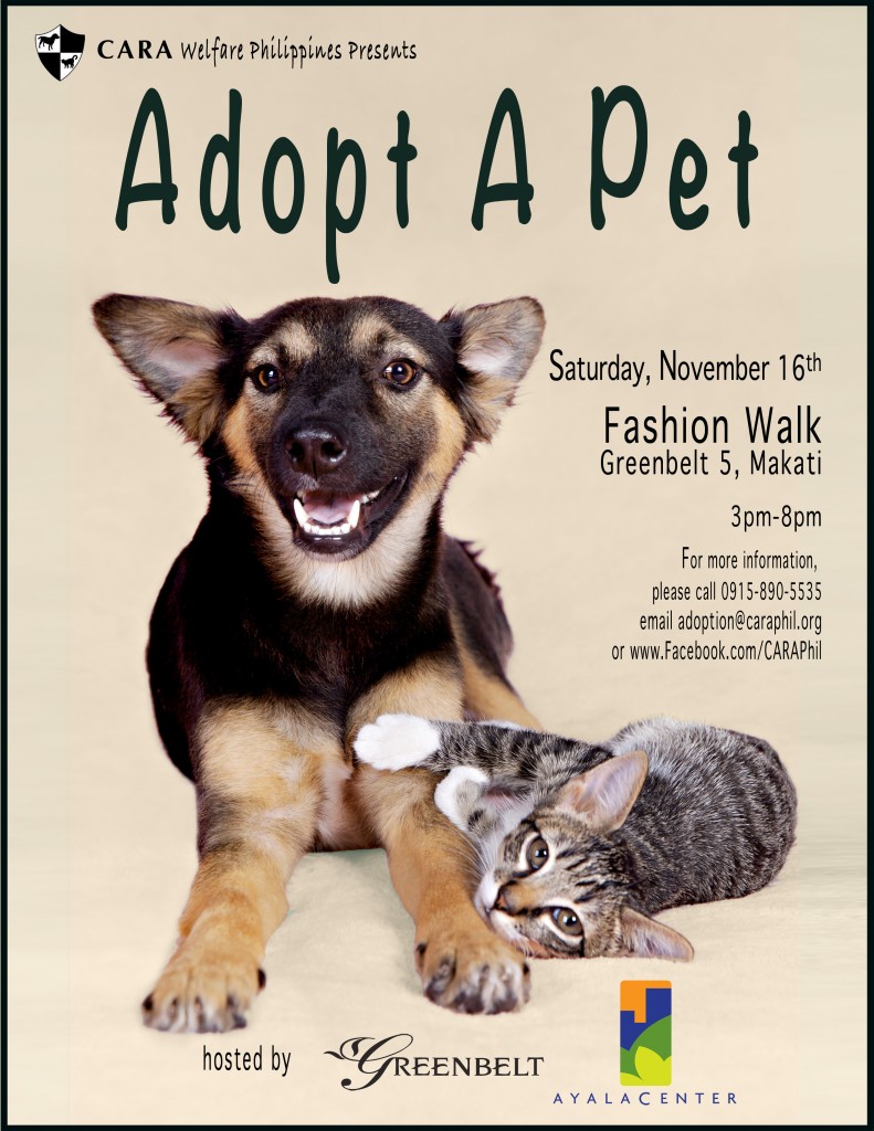 CARA Event Adopt_A_Pet_Nov_16_2013