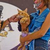 CARA - Animal Welfare Group in the Philippines - Animal Welfare Fundraising Event - Halloween Purr-ty 2013