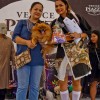 CARA - Animal Welfare Group in the Philippines - Animal Welfare Fundraising Event - Halloween Purr-ty 2013