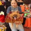 CARA - Animal Welfare Group in the Philippines - Animal Welfare Fundraising Event - Halloween Purr-ty 2013