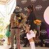 CARA - Animal Welfare Group in the Philippines - Animal Welfare Fundraising Event - Halloween Purr-ty 2013