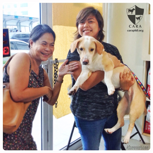 CARA Welfare Philippines - Animal Welfare - dog adoption success story - Scooter