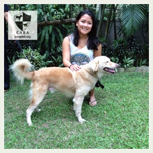 CARA Welfare Philippines - Animal welfare - dog adoption success story - Skyflakes