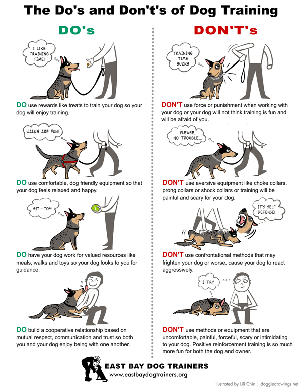 The dos and don'ts of dog training