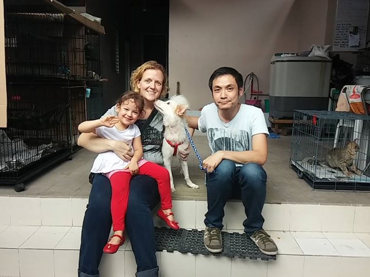 CARA - Animal Welfare in the Philippines - Dog Adoption Story - Benny