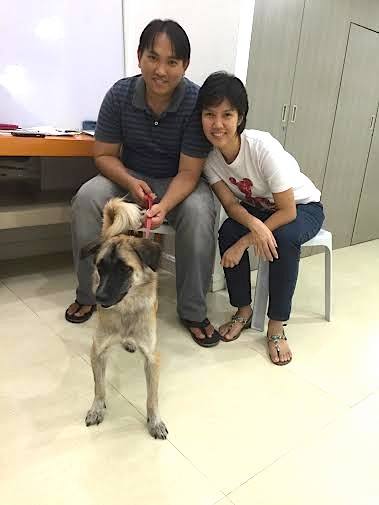 CARA - Animal Welfare in the Philippines - Dog Adoption Story - Paquita