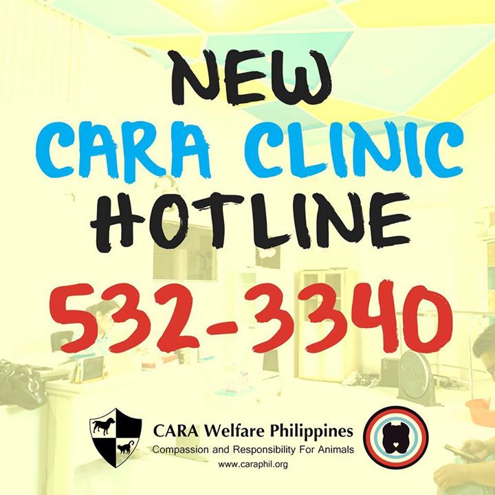 CARA Clinic Hotline - Spay and Neuter Pet Clinic in Manila