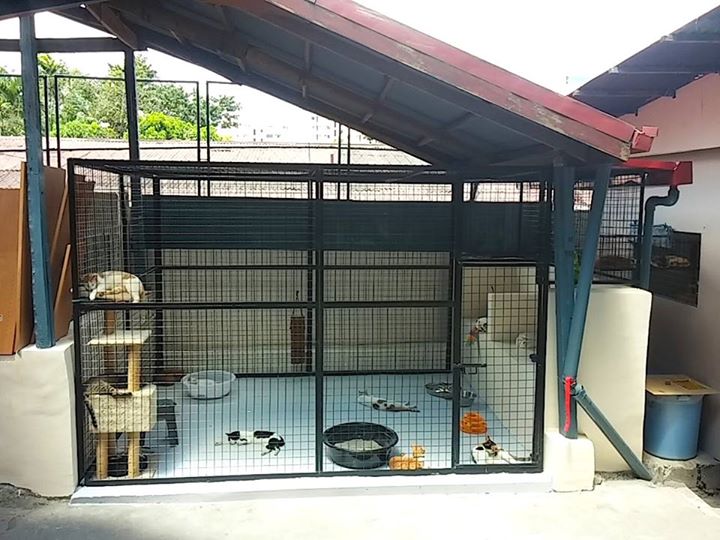 CARA - Pet Boarding - Pet Clinic in Manila