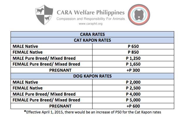 Updated Spay Neuter Fees at CARA Clinic