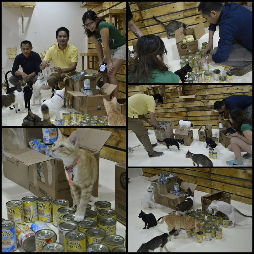 Cat food donation by Atos Information Technology